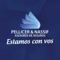 Seguros Pellicer Nassif
